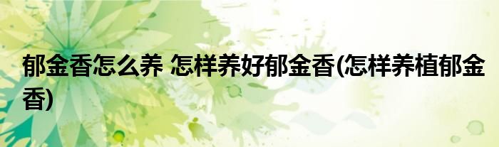 郁金香怎么養(yǎng) 怎樣養(yǎng)好郁金香(怎樣養(yǎng)植郁金香)