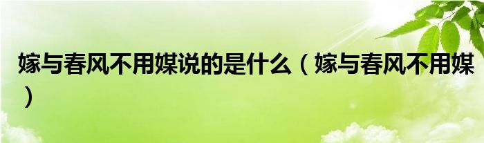 嫁與春風(fēng)不用媒說的是什么（嫁與春風(fēng)不用媒）