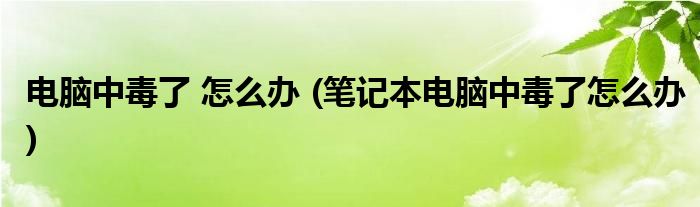 電腦中毒了 怎么辦 (筆記本電腦中毒了怎么辦)