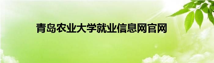 青島農(nóng)業(yè)大學(xué)就業(yè)信息網(wǎng)官網(wǎng)