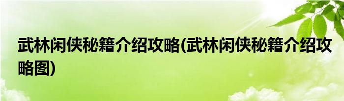 武林閑俠秘籍介紹攻略(武林閑俠秘籍介紹攻略圖)