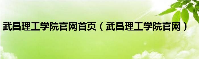 武昌理工學(xué)院官網(wǎng)首頁（武昌理工學(xué)院官網(wǎng)）