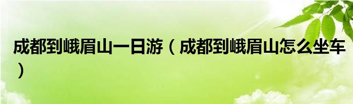 成都到峨眉山一日游（成都到峨眉山怎么坐車）