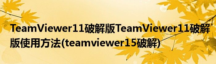 TeamViewer11破解版TeamViewer11破解版使用方法(teamviewer15破解)