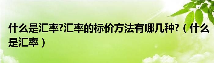 什么是匯率?匯率的標(biāo)價(jià)方法有哪幾種?（什么是匯率）