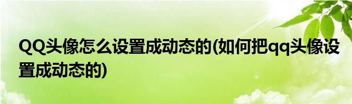 QQ頭像怎么設(shè)置成動(dòng)態(tài)的(如何把qq頭像設(shè)置成動(dòng)態(tài)的)