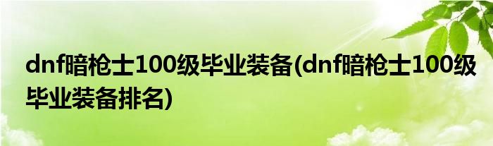 dnf暗槍士100級(jí)畢業(yè)裝備(dnf暗槍士100級(jí)畢業(yè)裝備排名)