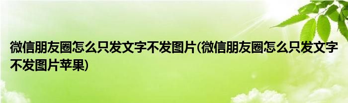 微信朋友圈怎么只發(fā)文字不發(fā)圖片(微信朋友圈怎么只發(fā)文字不發(fā)圖片蘋果)