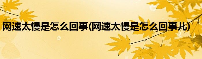 網(wǎng)速太慢是怎么回事(網(wǎng)速太慢是怎么回事兒)