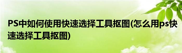 PS中如何使用快速選擇工具摳圖(怎么用ps快速選擇工具摳圖)