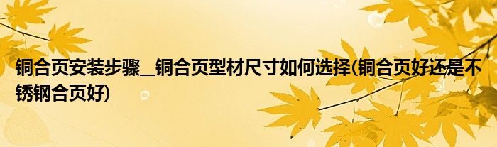 銅合頁(yè)安裝步驟__銅合頁(yè)型材尺寸如何選擇(銅合頁(yè)好還是不銹鋼合頁(yè)好)