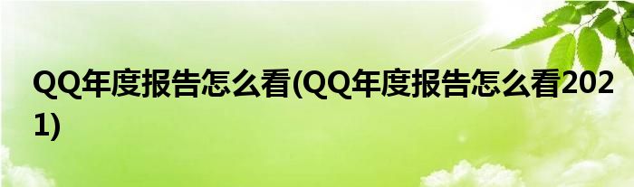 QQ年度報告怎么看(QQ年度報告怎么看2021)