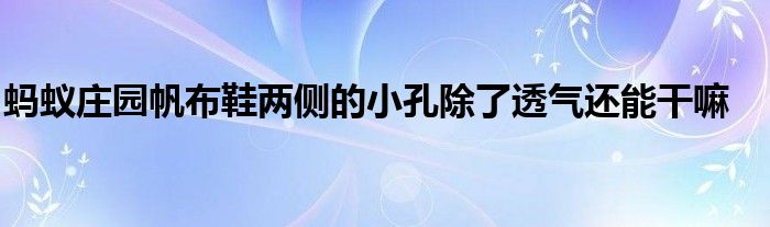 螞蟻莊園帆布鞋兩側(cè)的小孔除了透氣還能干嘛