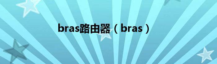 bras路由器（bras）