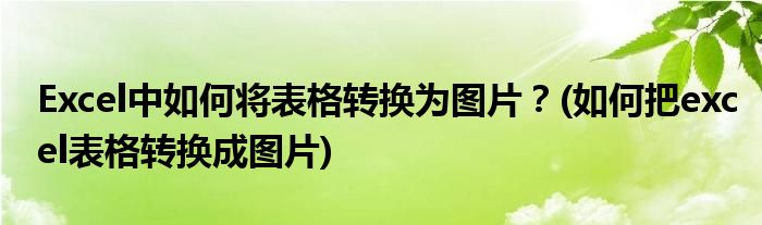 Excel中如何將表格轉(zhuǎn)換為圖片？(如何把excel表格轉(zhuǎn)換成圖片)