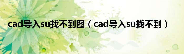 cad導(dǎo)入su找不到圖（cad導(dǎo)入su找不到）