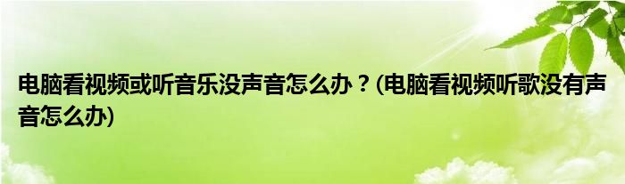 電腦看視頻或聽音樂沒聲音怎么辦？(電腦看視頻聽歌沒有聲音怎么辦)