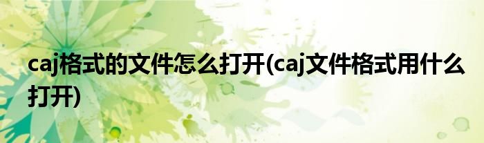 caj格式的文件怎么打開(caj文件格式用什么打開)