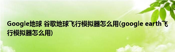 Google地球 谷歌地球飛行模擬器怎么用(google earth飛行模擬器怎么用)