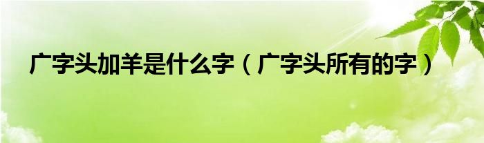 廣字頭加羊是什么字（廣字頭所有的字）