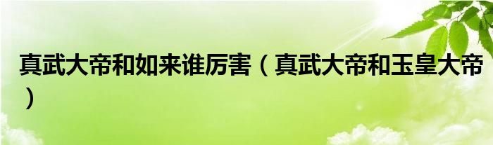 真武大帝和如來誰厲害（真武大帝和玉皇大帝）