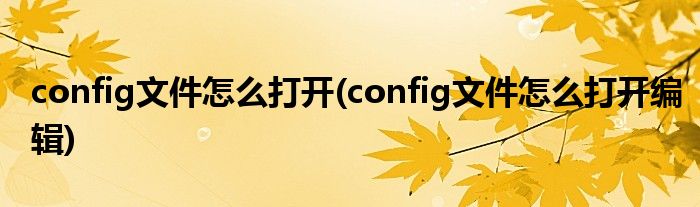 config文件怎么打開(kāi)(config文件怎么打開(kāi)編輯)