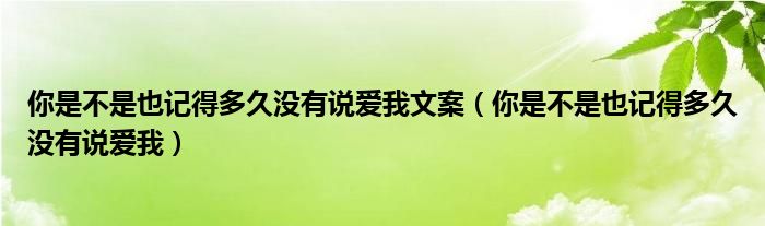 你是不是也記得多久沒有說愛我文案（你是不是也記得多久沒有說愛我）