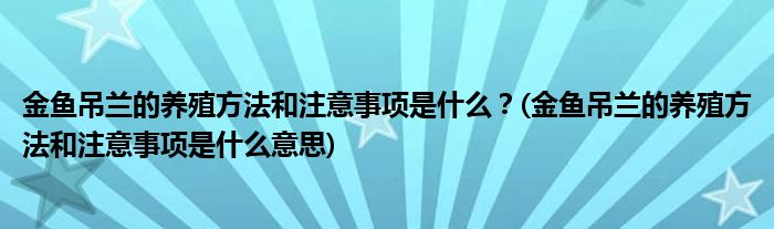 金魚吊蘭的養(yǎng)殖方法和注意事項是什么？(金魚吊蘭的養(yǎng)殖方法和注意事項是什么意思)