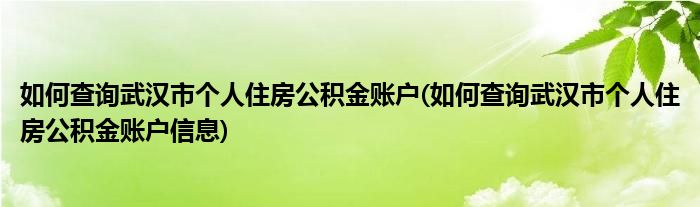 如何查詢武漢市個人住房公積金賬戶(如何查詢武漢市個人住房公積金賬戶信息)