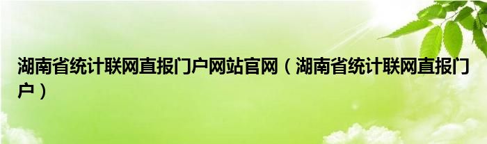 湖南省統(tǒng)計(jì)聯(lián)網(wǎng)直報(bào)門戶網(wǎng)站官網(wǎng)（湖南省統(tǒng)計(jì)聯(lián)網(wǎng)直報(bào)門戶）