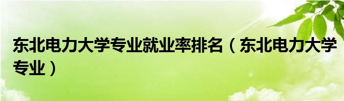 東北電力大學(xué)專業(yè)就業(yè)率排名（東北電力大學(xué)專業(yè)）