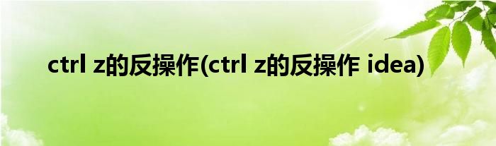 ctrl z的反操作(ctrl z的反操作 idea)