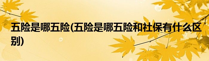 五險是哪五險(五險是哪五險和社保有什么區(qū)別)