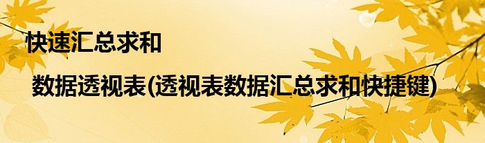 快速匯總求和 | 數(shù)據(jù)透視表(透視表數(shù)據(jù)匯總求和快捷鍵)