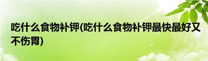 吃什么食物補(bǔ)鉀(吃什么食物補(bǔ)鉀最快最好又不傷胃)