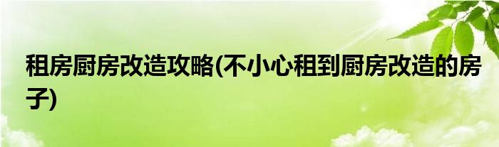 租房廚房改造攻略(不小心租到廚房改造的房子)