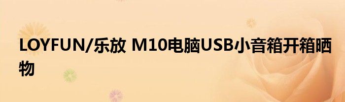 LOYFUN/樂放 M10電腦USB小音箱開箱曬物