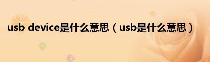 usb device是什么意思（usb是什么意思）