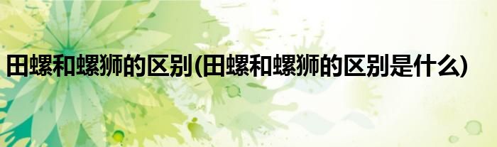 田螺和螺獅的區(qū)別(田螺和螺獅的區(qū)別是什么)