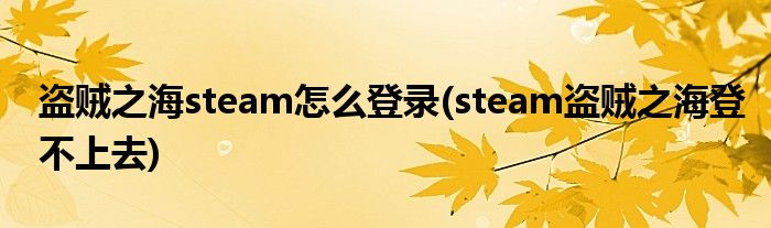 盜賊之海steam怎么登錄(steam盜賊之海登不上去)