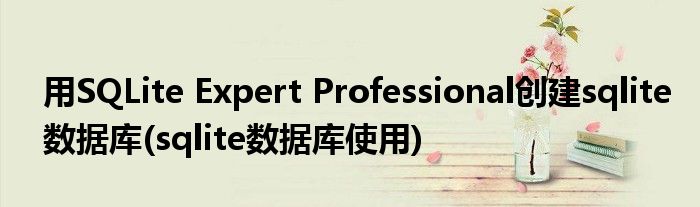 用SQLite Expert Professional創(chuàng)建sqlite數(shù)據(jù)庫(kù)(sqlite數(shù)據(jù)庫(kù)使用)