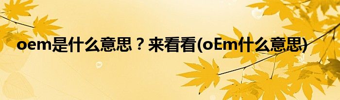 oem是什么意思？來看看(oEm什么意思)