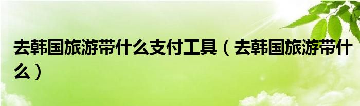 去韓國(guó)旅游帶什么支付工具（去韓國(guó)旅游帶什么）