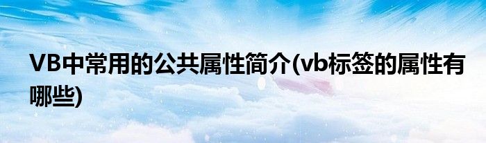 VB中常用的公共屬性簡介(vb標簽的屬性有哪些)