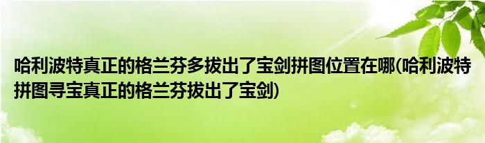 哈利波特真正的格蘭芬多拔出了寶劍拼圖位置在哪(哈利波特拼圖尋寶真正的格蘭芬拔出了寶劍)