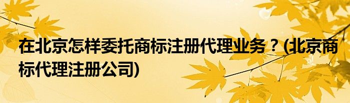 在北京怎樣委托商標(biāo)注冊(cè)代理業(yè)務(wù)？(北京商標(biāo)代理注冊(cè)公司)