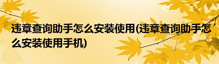 違章查詢助手怎么安裝使用(違章查詢助手怎么安裝使用手機)