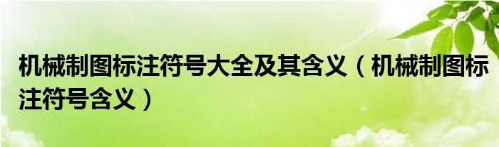 機(jī)械制圖標(biāo)注符號(hào)大全及其含義（機(jī)械制圖標(biāo)注符號(hào)含義）