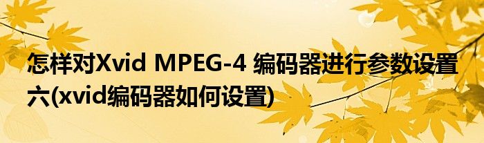 怎樣對Xvid MPEG-4 編碼器進(jìn)行參數(shù)設(shè)置 六(xvid編碼器如何設(shè)置)