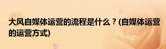 大風(fēng)自媒體運營的流程是什么？(自媒體運營的運營方式)